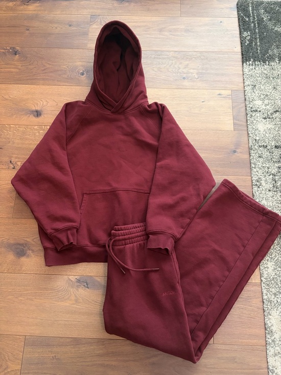 Aritzia Tops - Aritzia Sweat SET